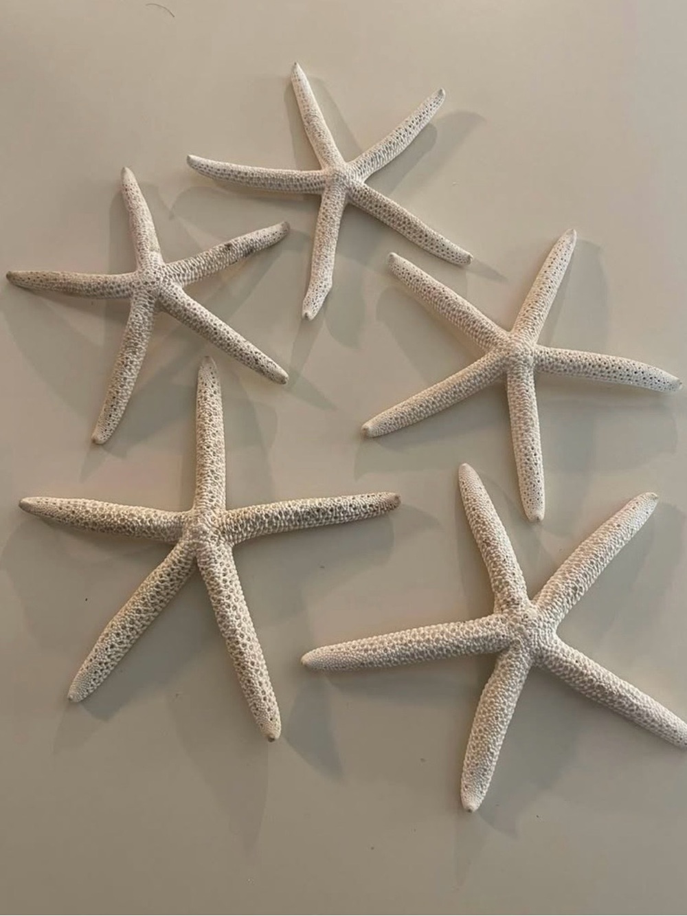 White Starfish Decor Set — Coastal Home Accent